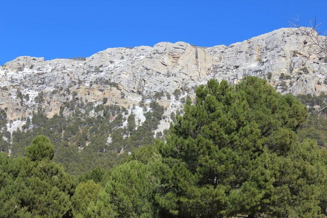 El Almendro De Fuentes Nuevas Castril Exterior foto